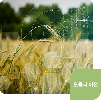 도움과 비전