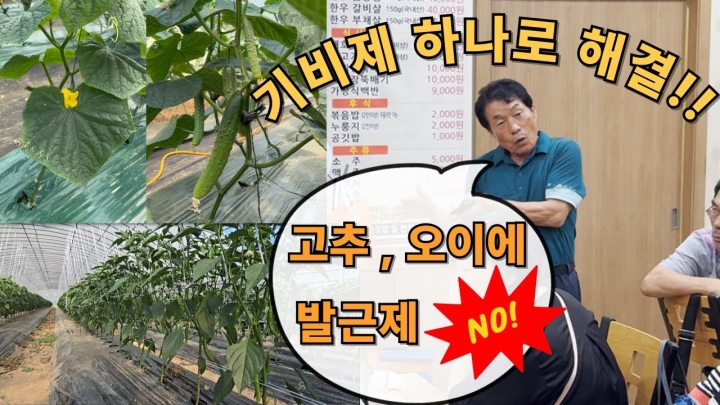 광주 작목반 반장님의 솔직한 후기! 오직 하나로 효과 본 '양자흙속세상' 제품리뷰!